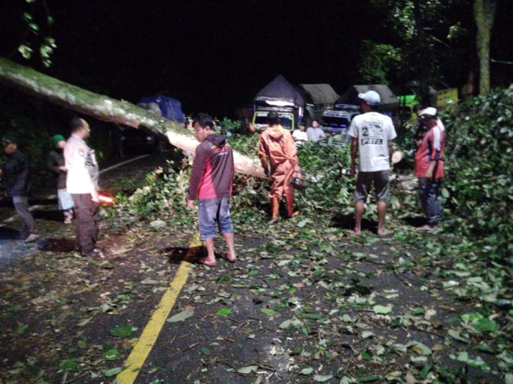 Gercep Polisi Bersama Warga Tangani Pohon Tumbang, Jalur Nasional Lintas Gumitir Kembali Lancar